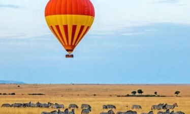 Hot_air_ballon_safari