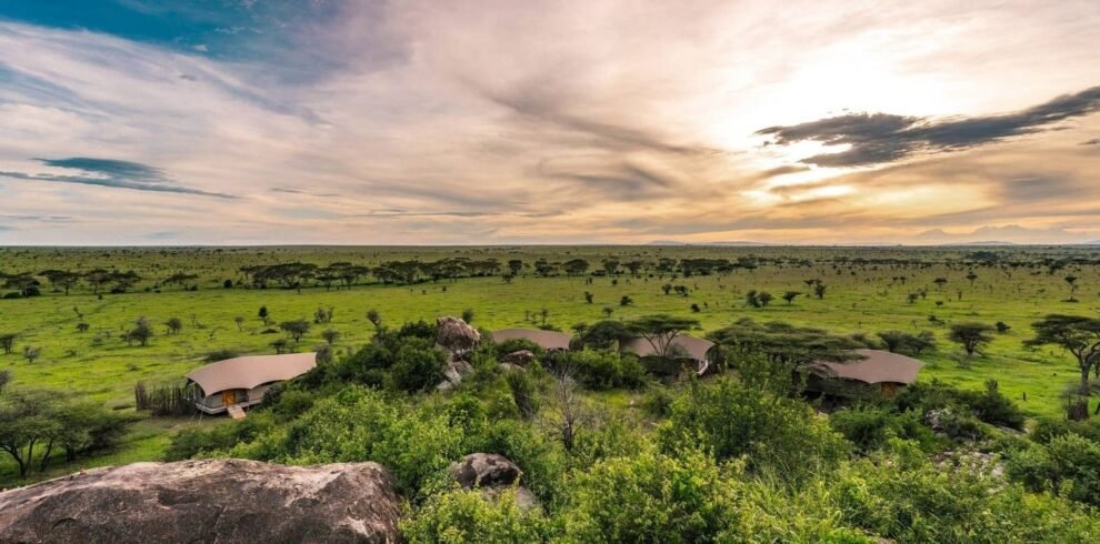 Lemala-Nanyukie-37-min-scaled