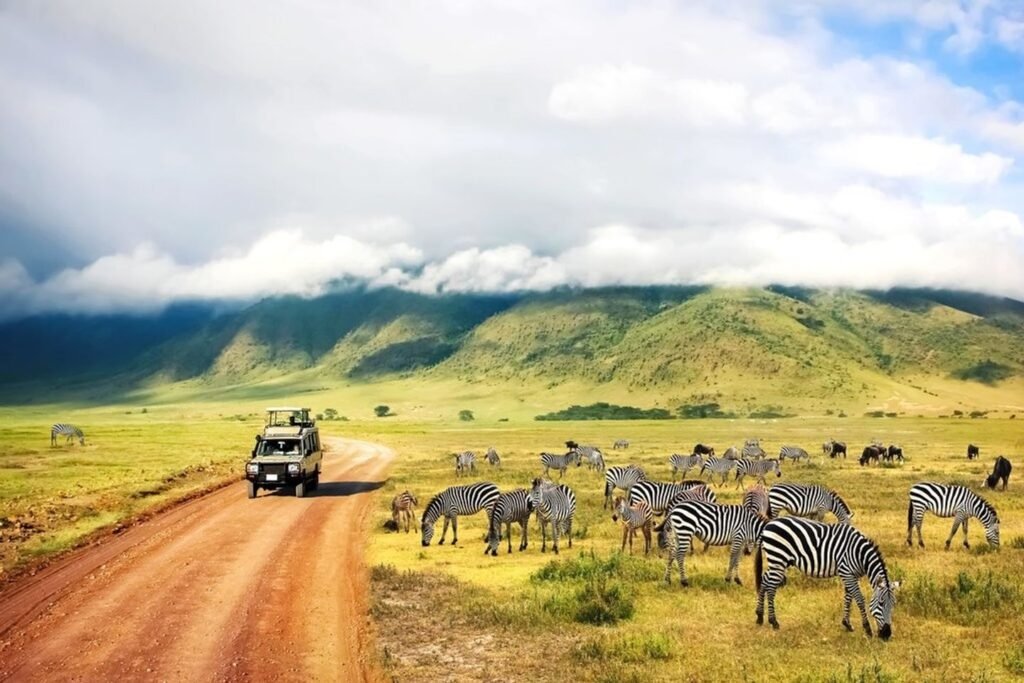 Safari_serengeti