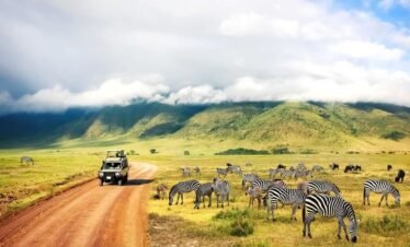 Safari_serengeti