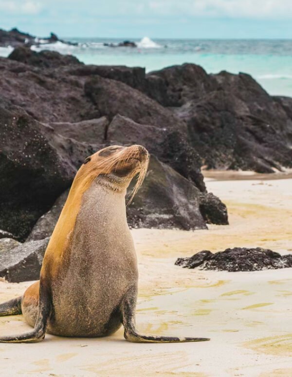 Galápagos-islands