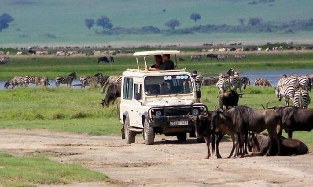 Safari_serengeti