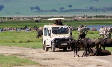 Safari_serengeti