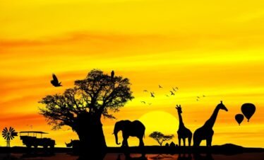 Serengeti sunset