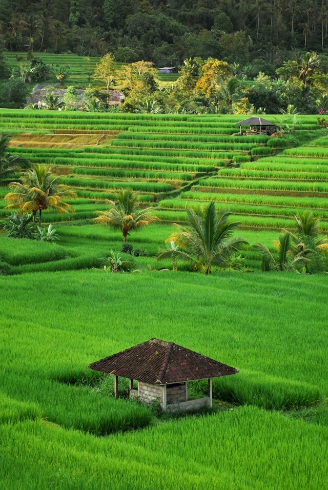 Indonesia