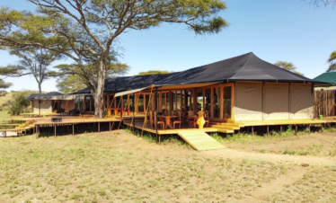 serengeti dining