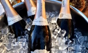 Stellenrust-Wine-Pairing