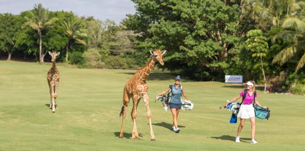 giraffe-green-vipingo-ridge-golf-africa