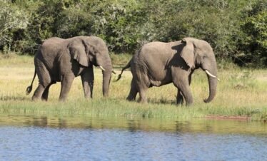 Kilimanjaro National Park