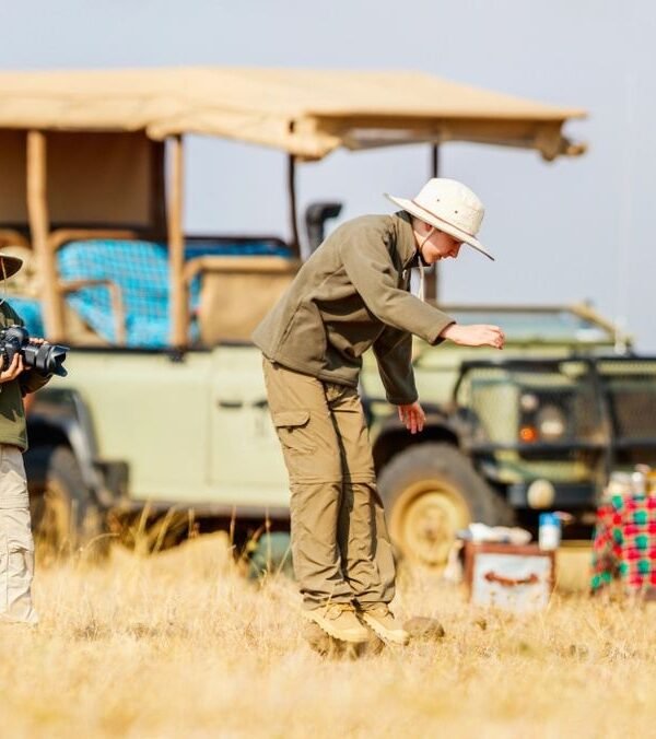 safari