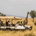 Game drive