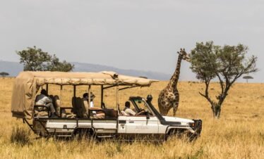 Kilimanjaro National Park
