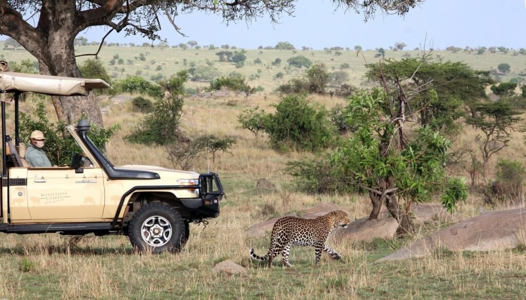 Game Drive_Full Day