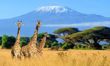 Mount_kilimanjaro