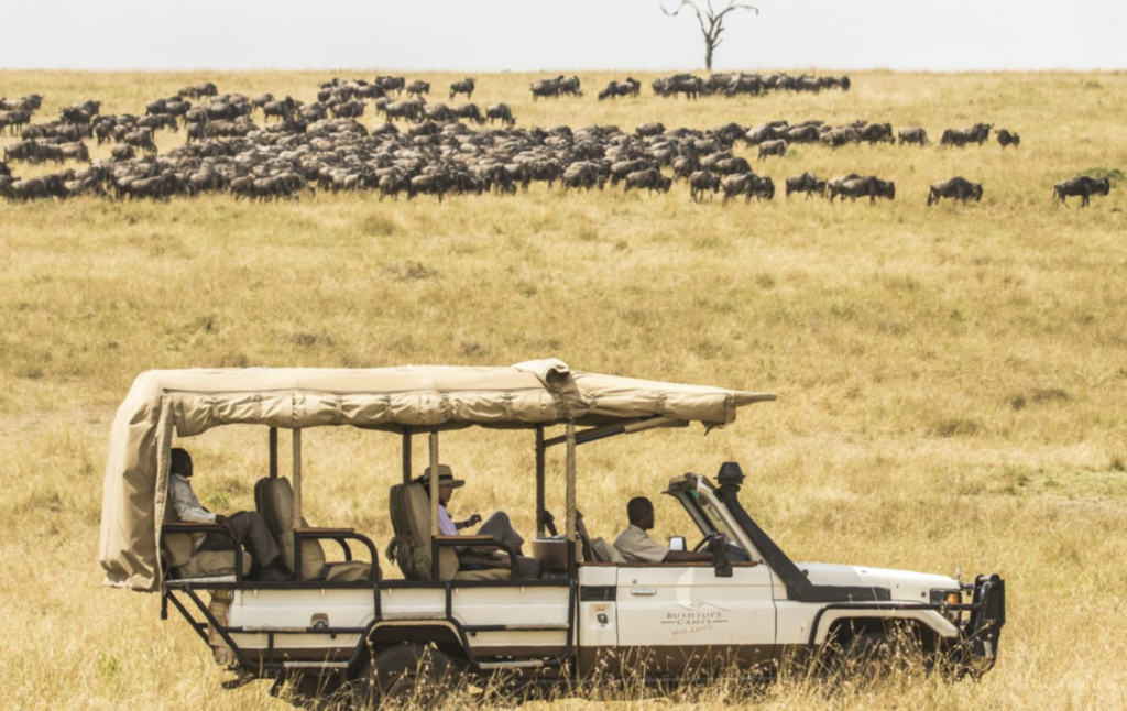 Kilimanjaro National Park