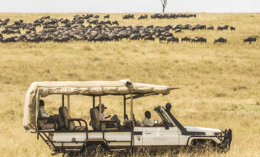 Kilimanjaro National Park